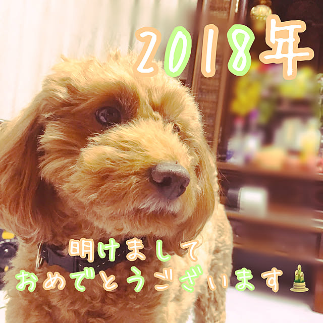 chika8476さんの実例写真