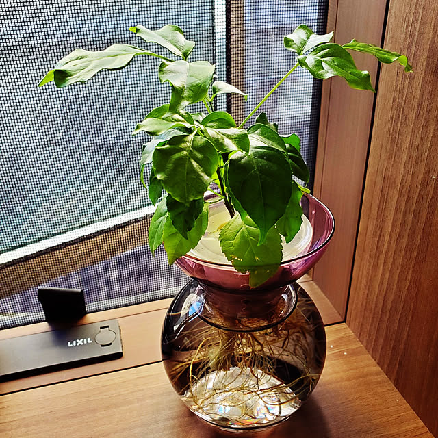 cocomamaさんの実例写真