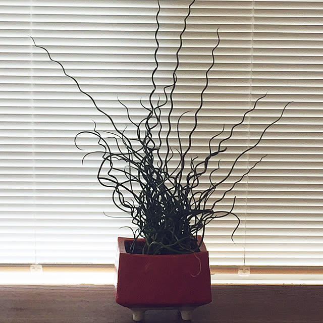 Hiroさんの実例写真