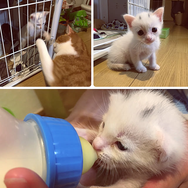 Non.Maru.Meiさんの実例写真