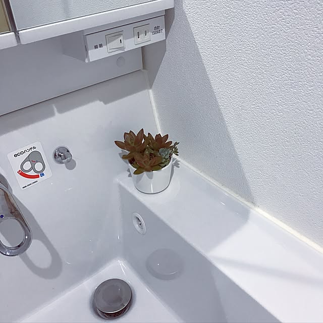 misaeeeさんの実例写真