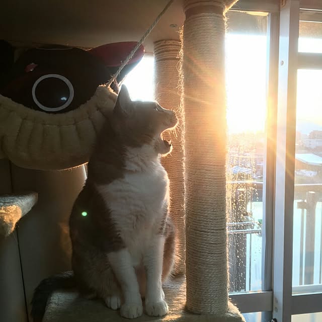 tiduruさんの実例写真