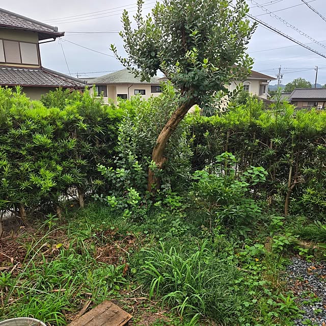 fuchan0930さんの部屋