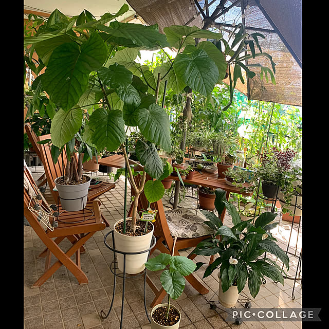 Aqettyさんの部屋