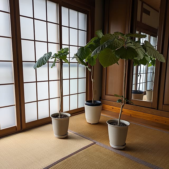 Renさんの実例写真