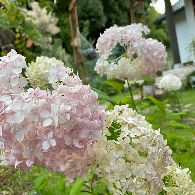 yukiさんの実例写真