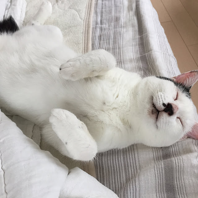 pansanさんの実例写真