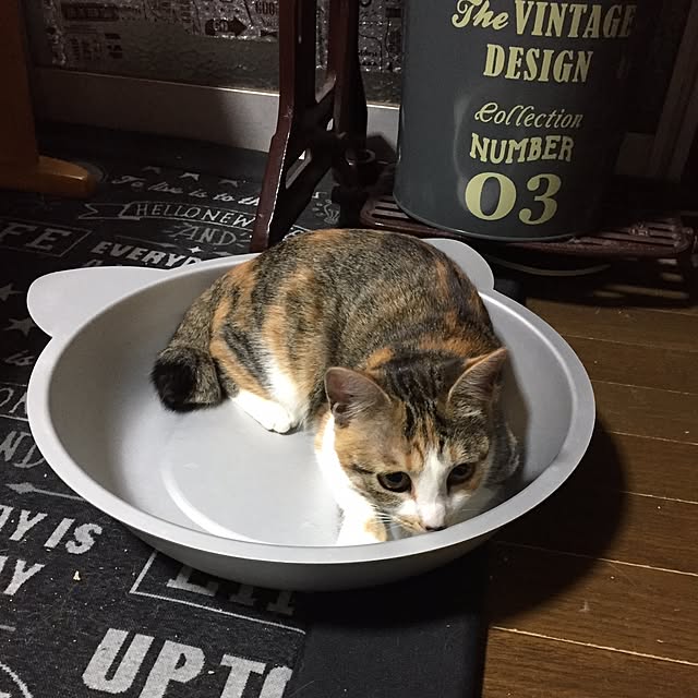 vivienne.coco-keiさんの実例写真