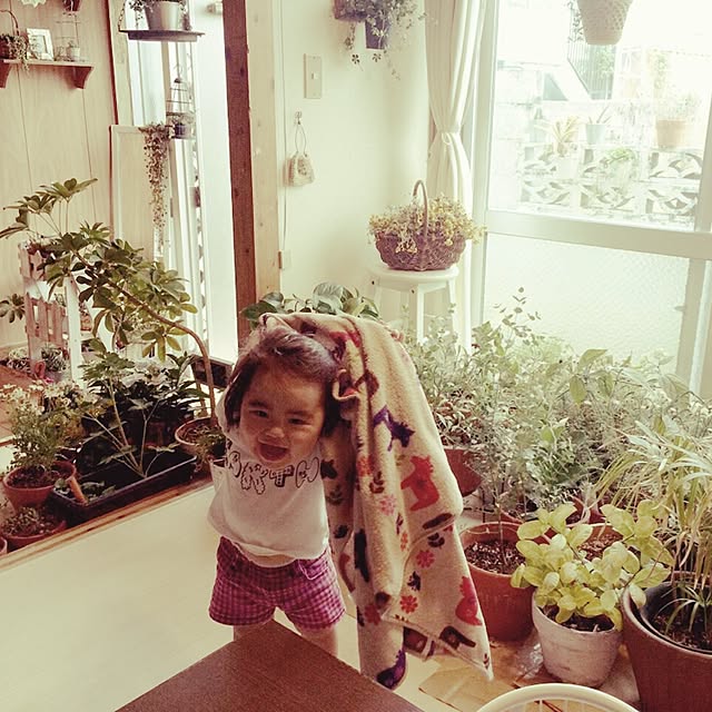 coraruさんの実例写真
