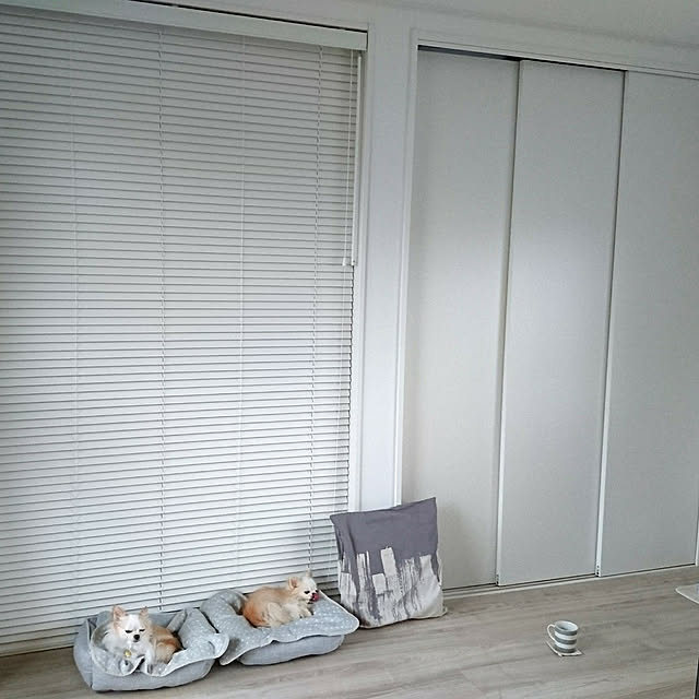 macoさんの実例写真