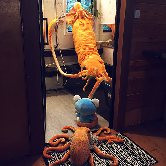 vol.2565写真
