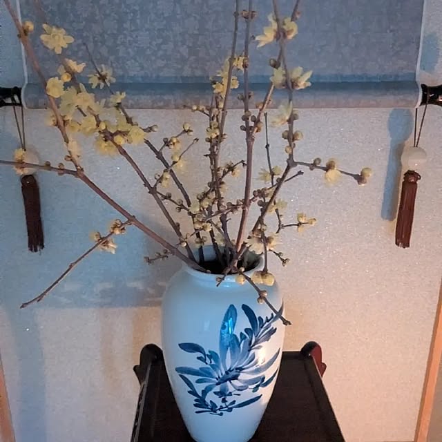 machikomamaさんの部屋