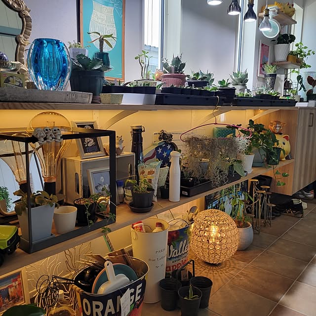 nonbiri_house_さんの部屋