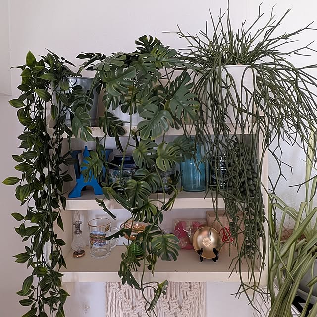 kazueさんの実例写真