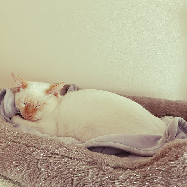 YUKIFUKUさんの実例写真