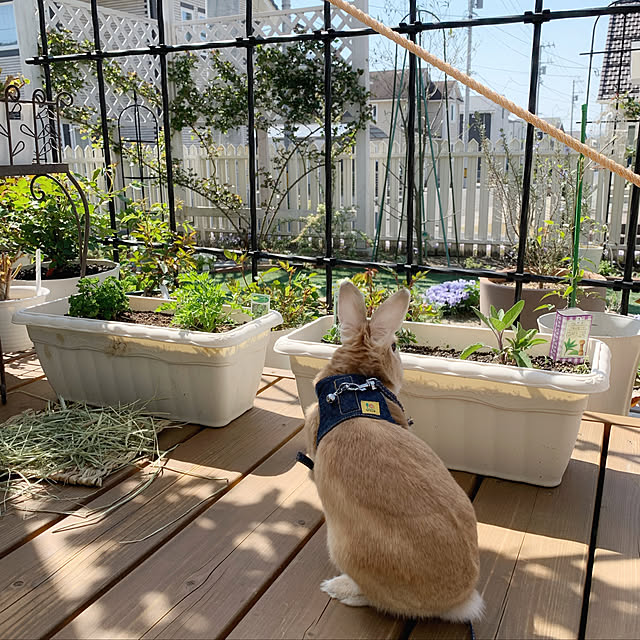 Michiさんの実例写真