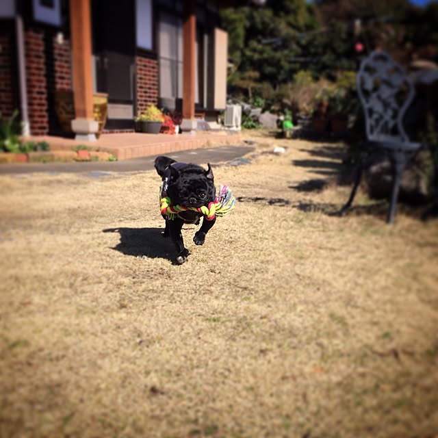 yukiさんの実例写真