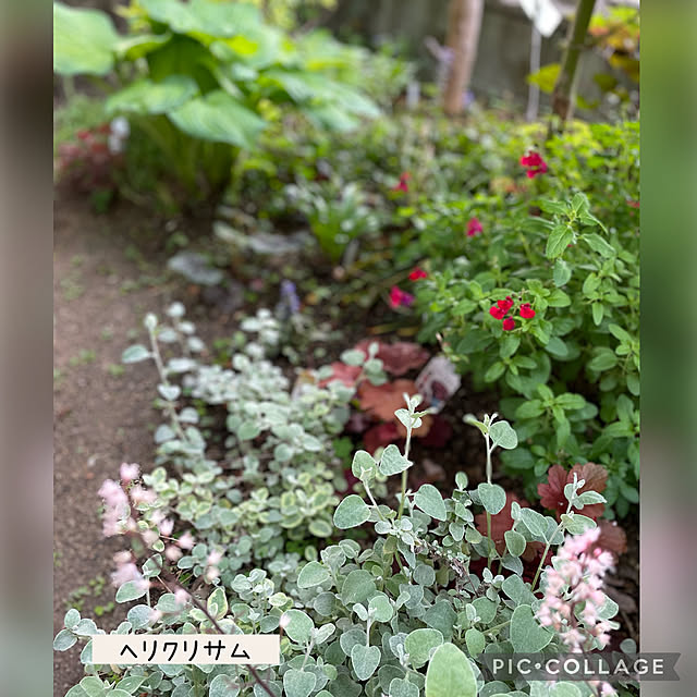 buchiさんの実例写真