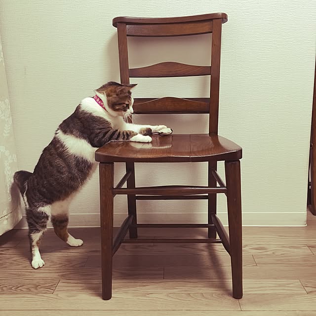sachiさんの実例写真