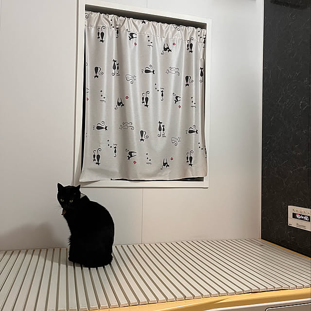 jijiさんの実例写真