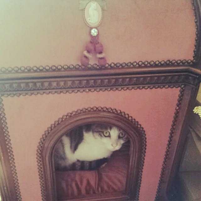 emmyyさんの実例写真