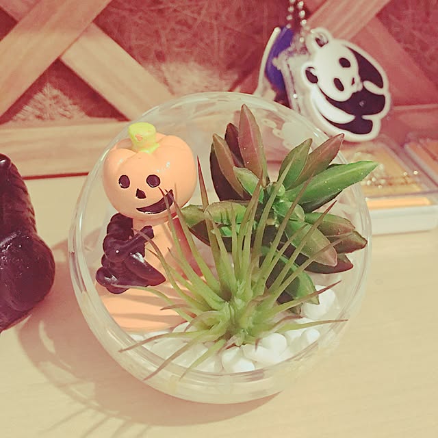 ベッド周り/ハロウィンディスプレイ/DIY/オブジェ/フェイクグリーン...などのインテリア実例 - 2016-10-14 18:07:07