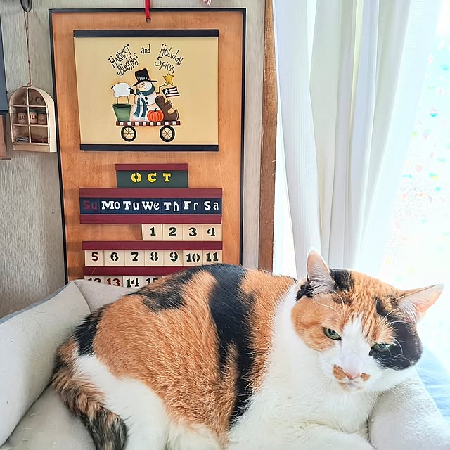 nanaさんの実例写真