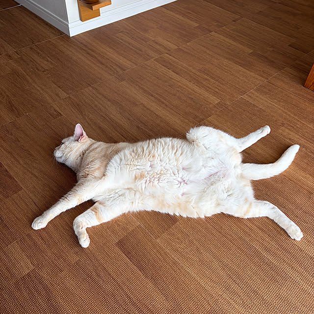 hiyupan88さんの部屋