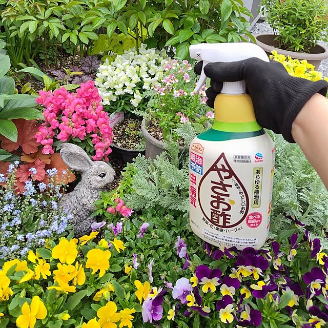 mutsuさんの部屋