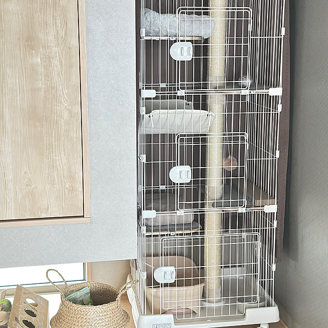 部屋全体/IKEA/100均/ダイソー/無印良品のインテリア実例 - 2025-04-28 11:49:32