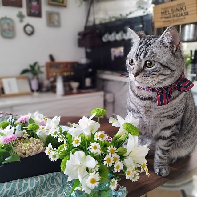 hiro3さんの部屋