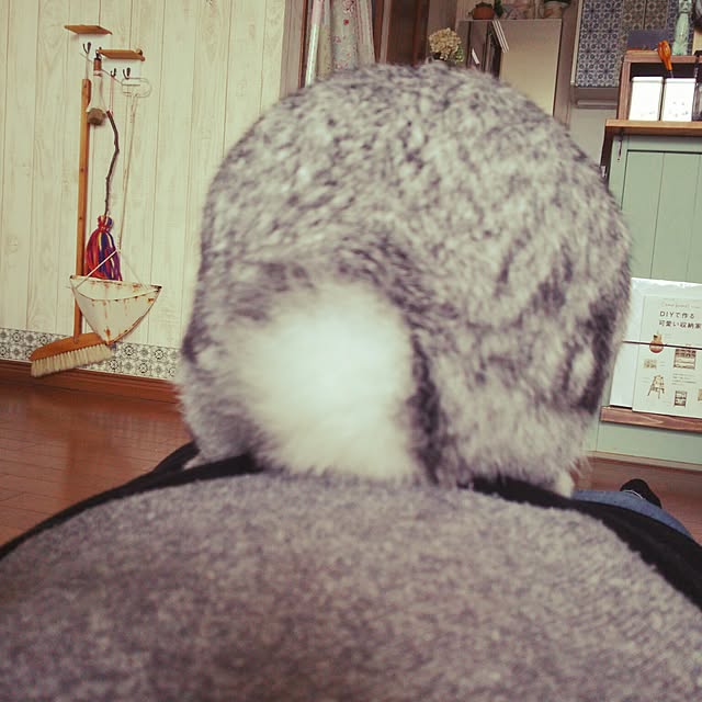 mogu0418さんの実例写真