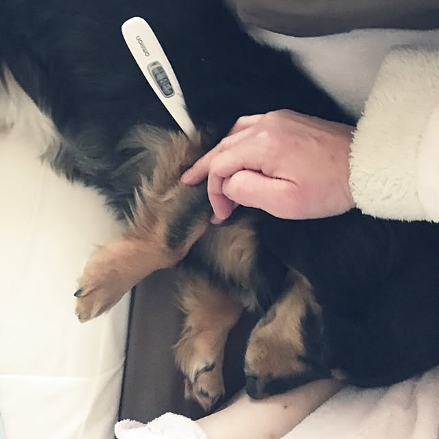 ohanaさんの実例写真