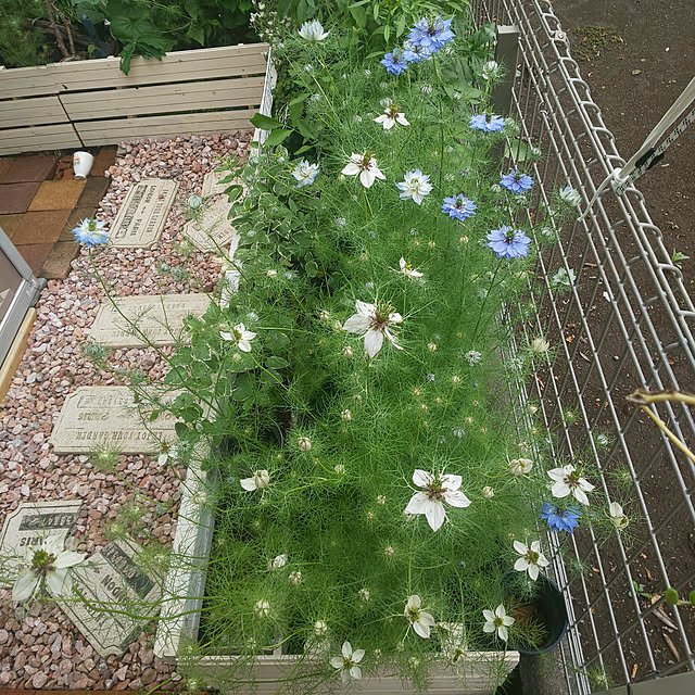 mmpoohさんの実例写真