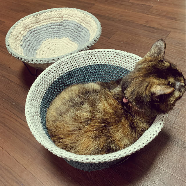 icchiiiさんの実例写真