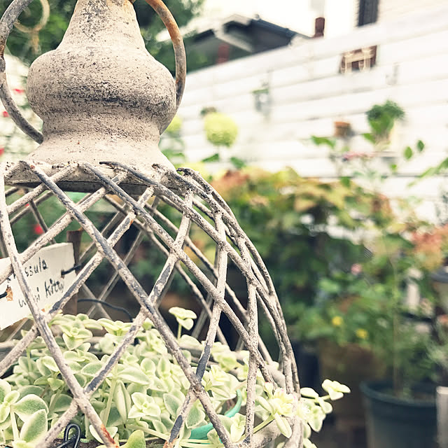 kokko3さんの実例写真