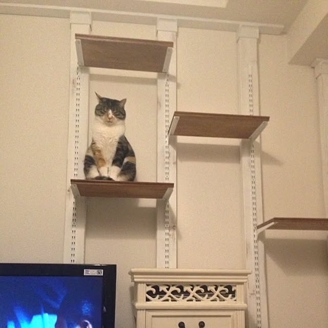saqura_apartment101さんの実例写真
