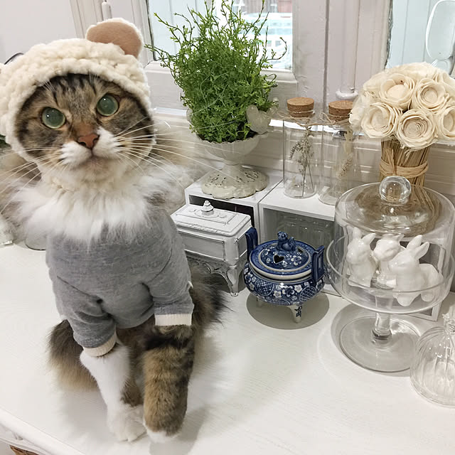 yuchiさんの実例写真