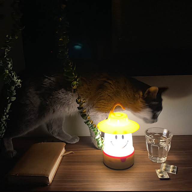 73さんの実例写真
