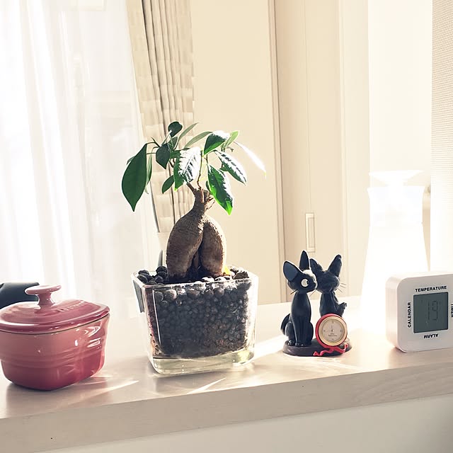 yoshi-piさんの実例写真