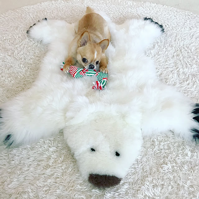 haruhinaさんの実例写真