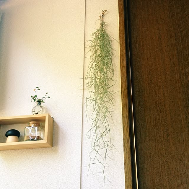 L.さんの実例写真