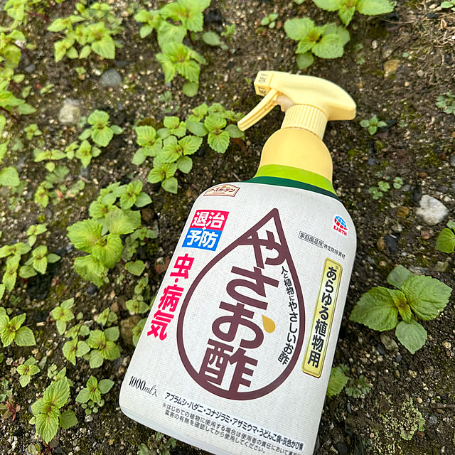mizuyoさんの実例写真