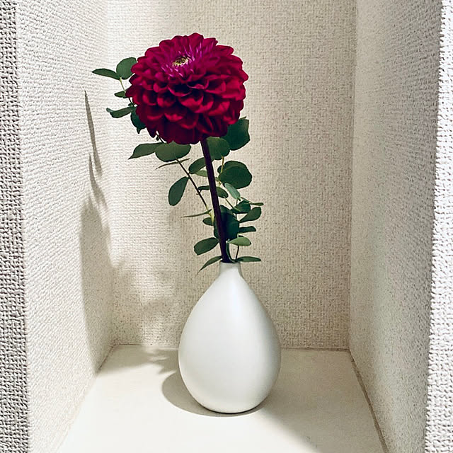 yuu7さんの実例写真