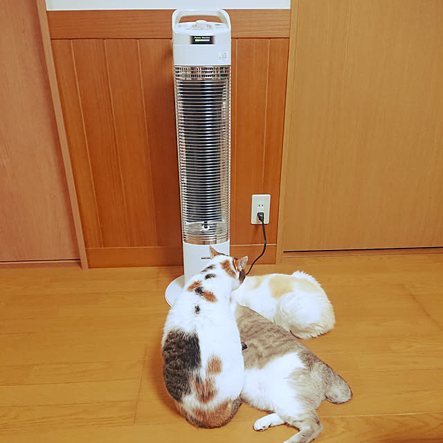 nachiさんの実例写真