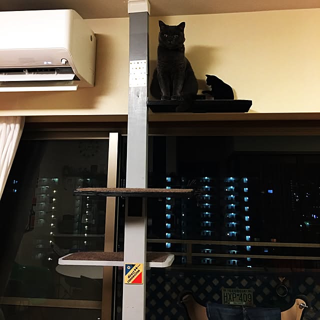 Shojiさんの実例写真
