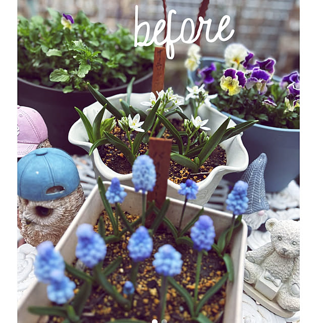 CoCo0617さんの部屋