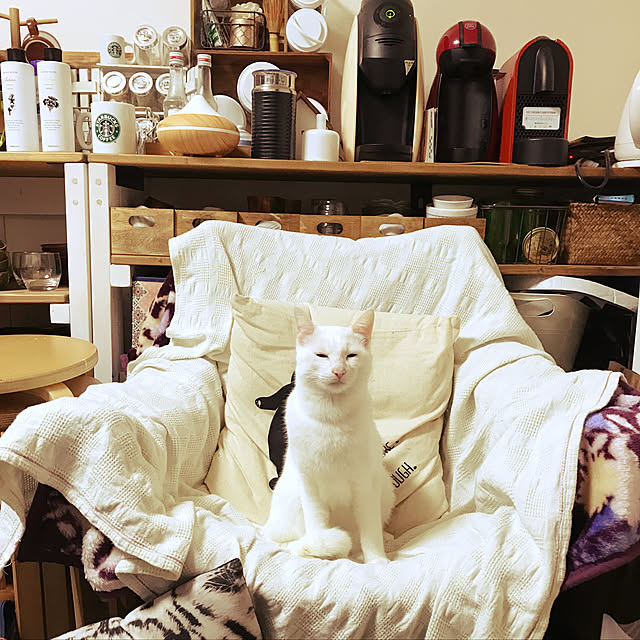 choco_mint012さんの実例写真