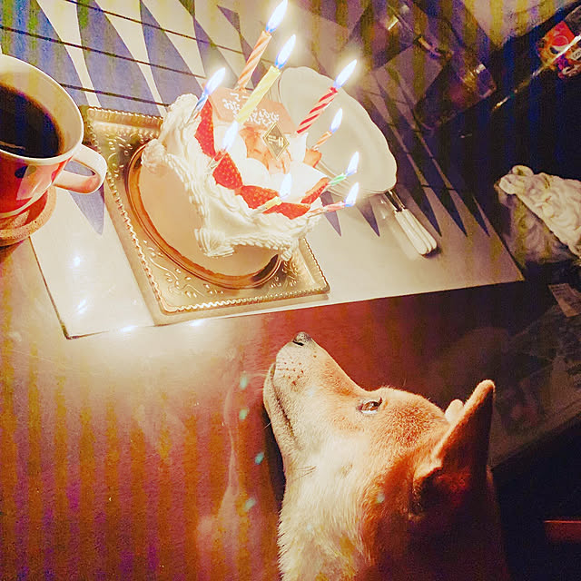 tanyuumoさんの実例写真