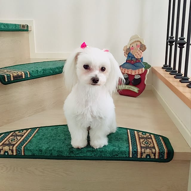 nicoさんの実例写真